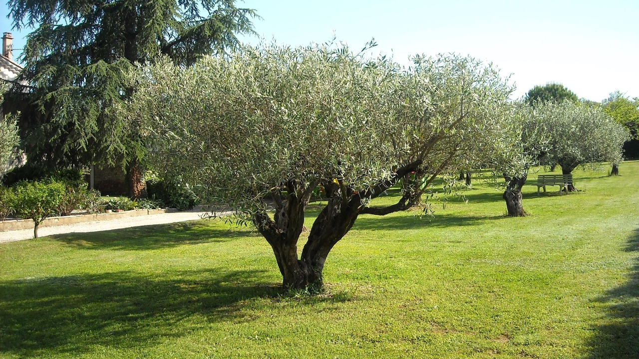 Photo of Outdoor in Les Mages