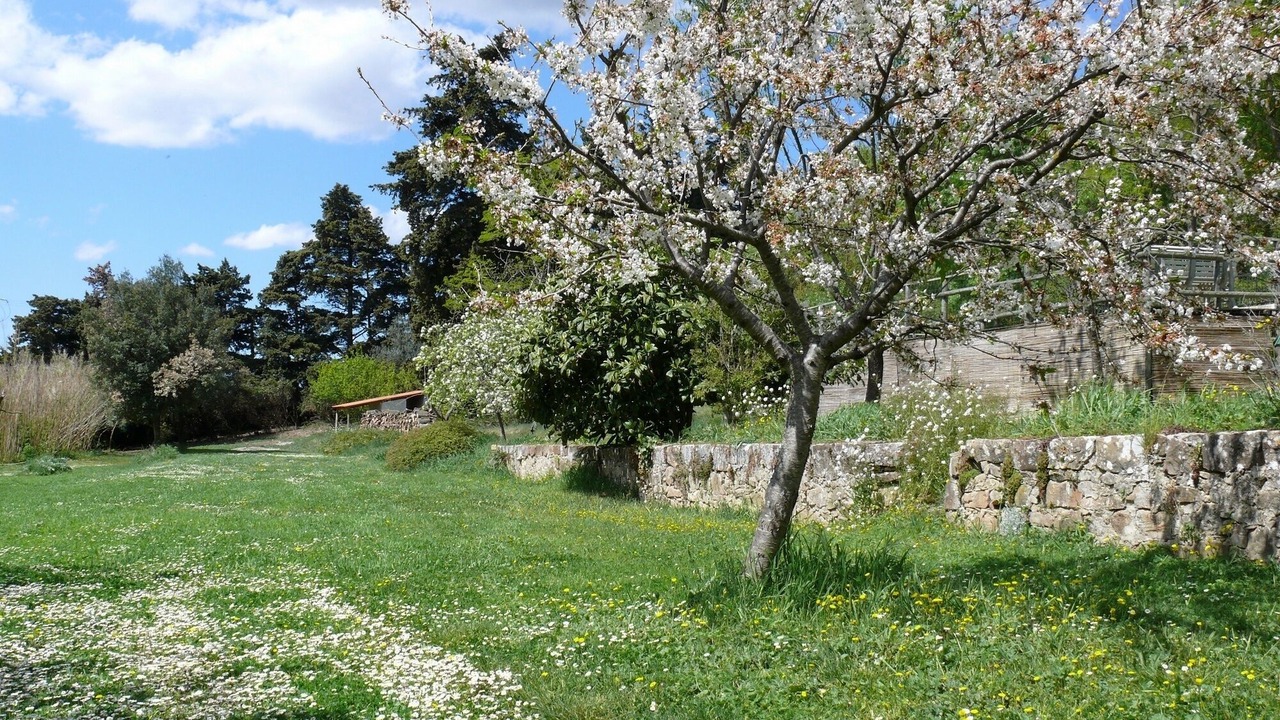 Photo of Outdoor in Montlaur