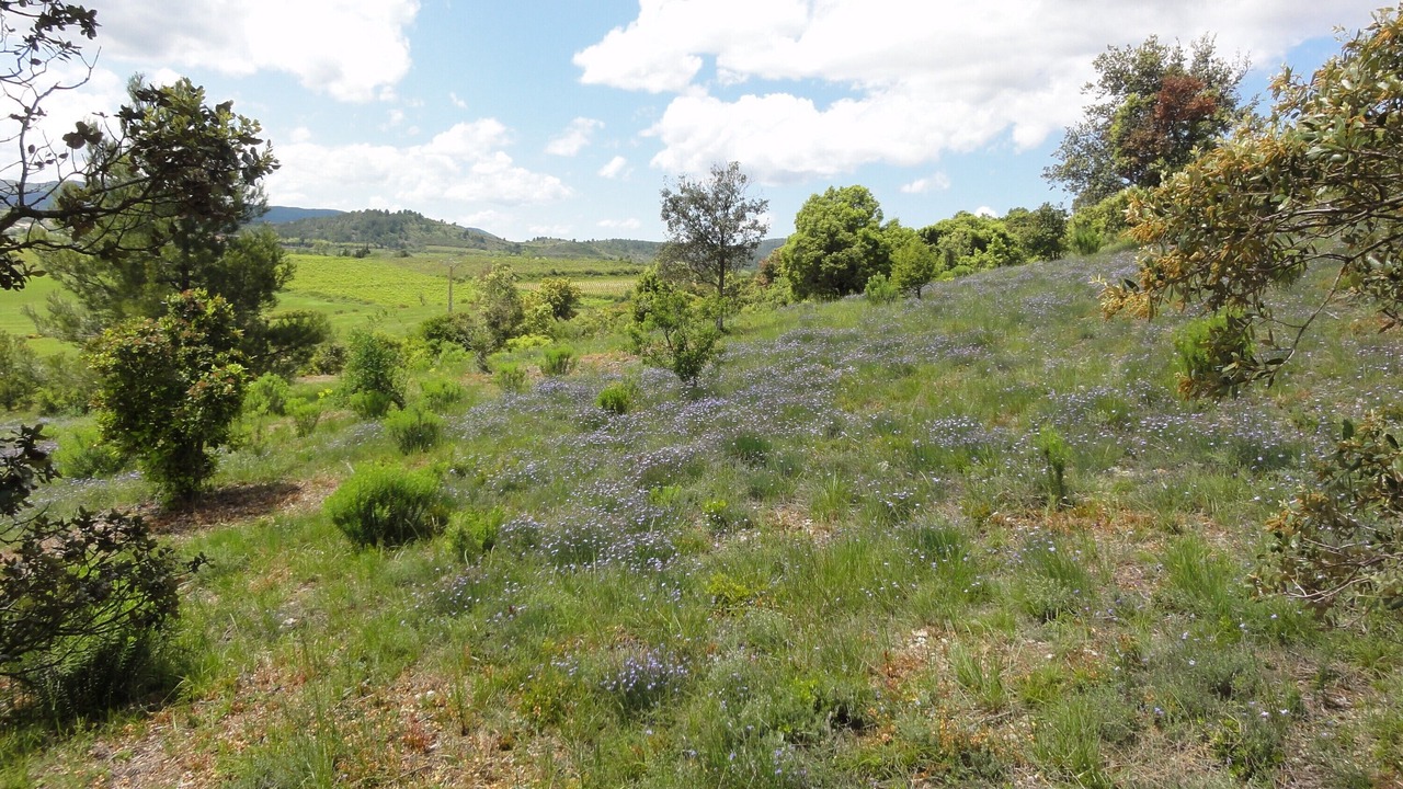 Photo of Outdoor in Montlaur