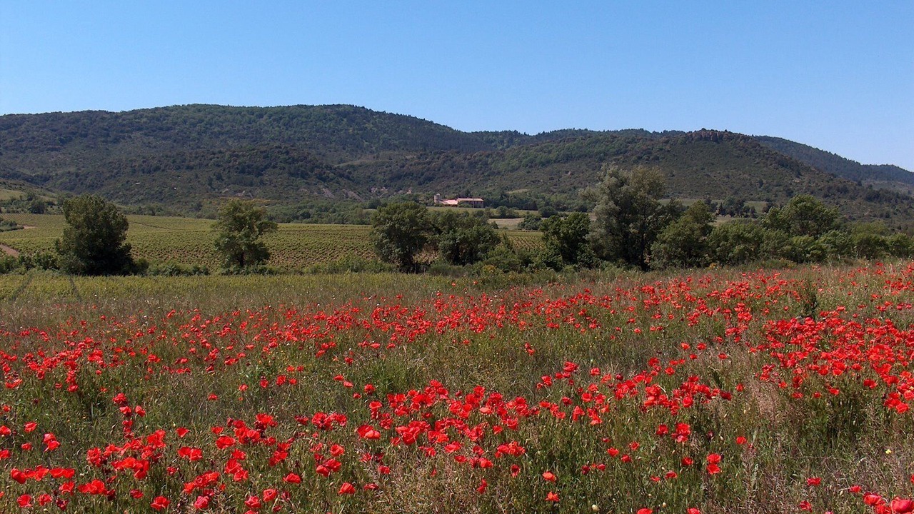 Photo of Outdoor in Montlaur