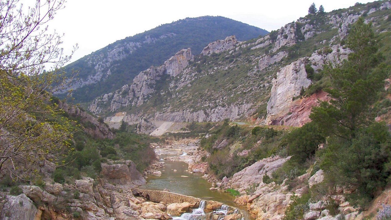 Photo of Others in Montlaur