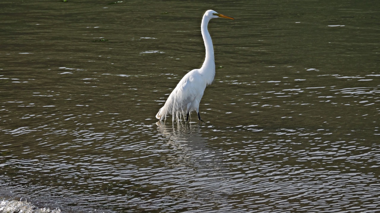 Photo of Others in Madison