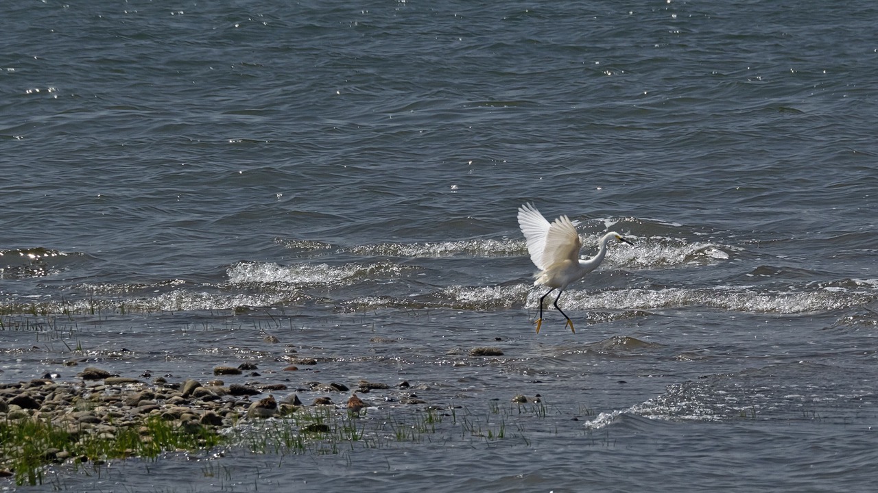 Photo of Others in Madison