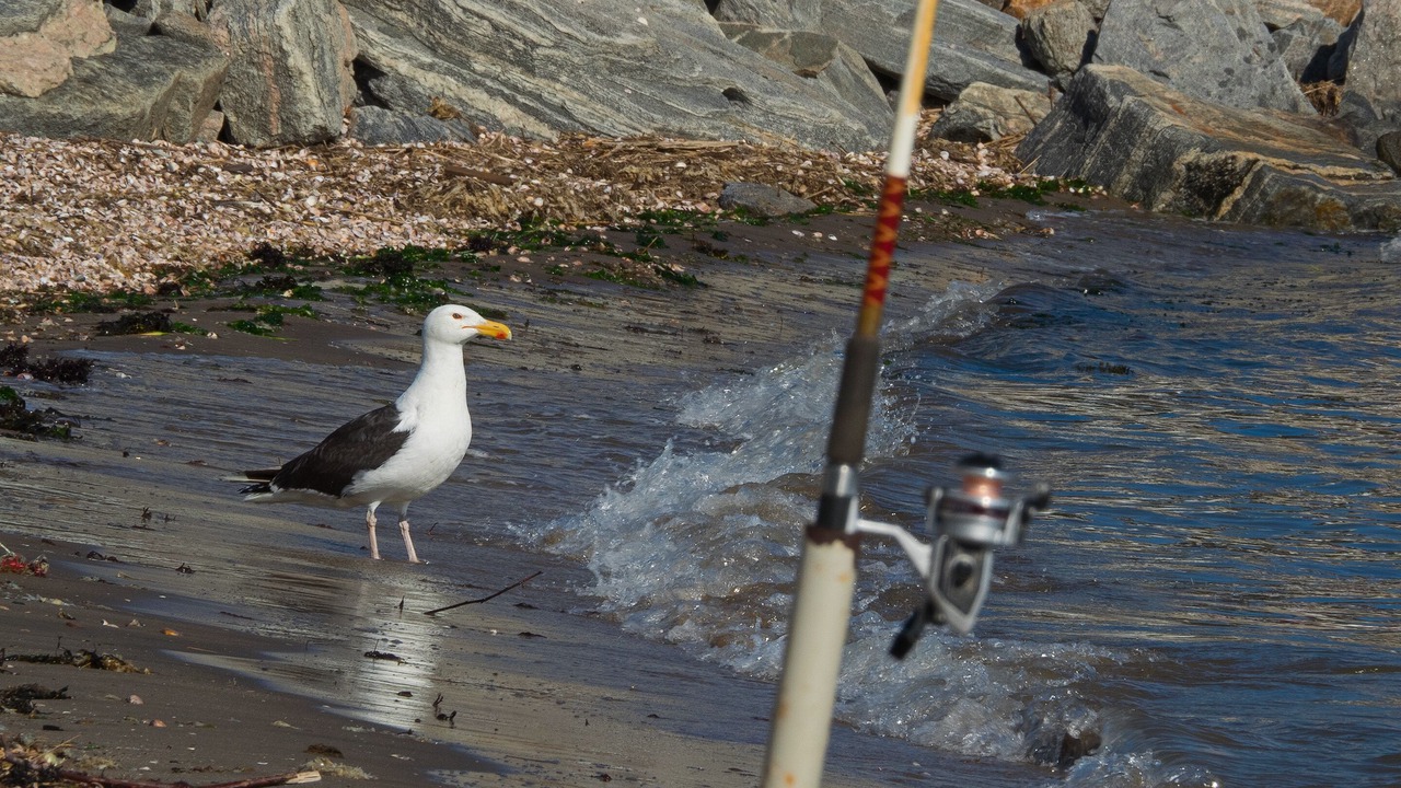 Photo of Others in Madison