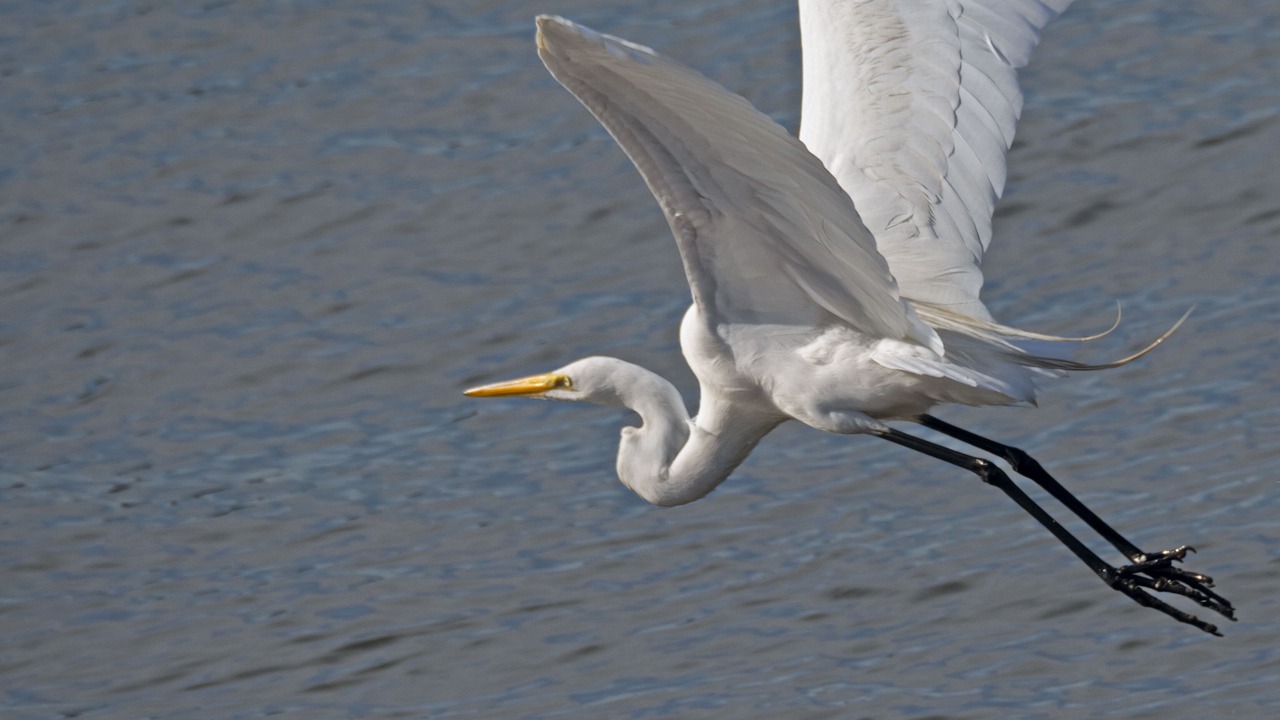 Photo of Others in Madison