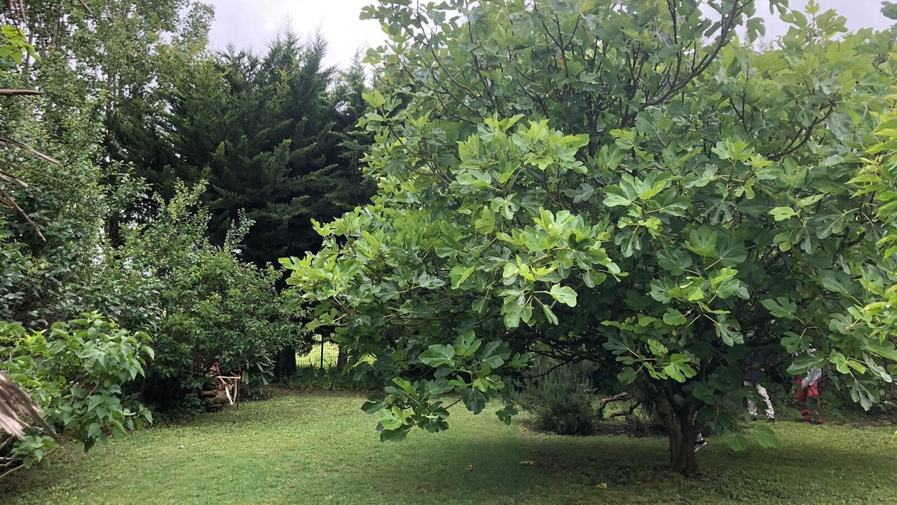 Photo of Outdoor in Sallertaine