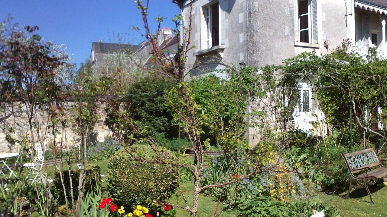 Photo of Outdoor in Loches