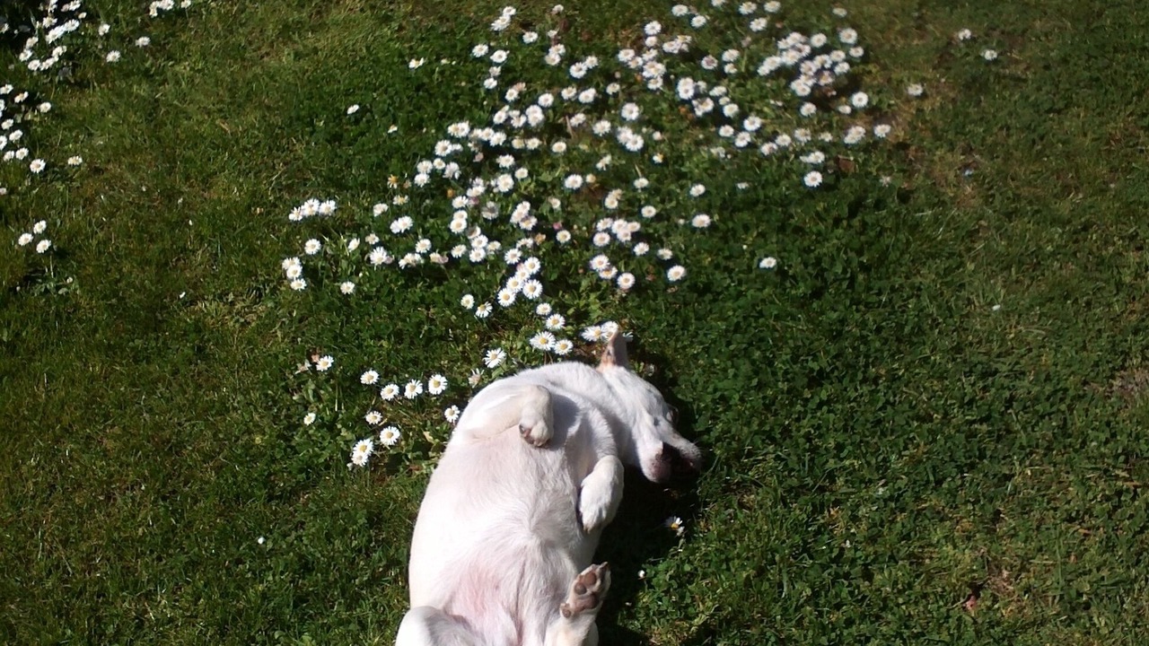 Photo of Outdoor in Loches