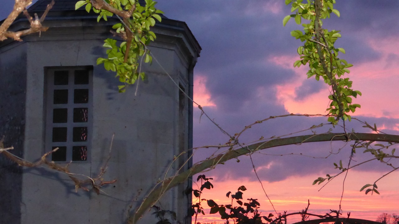 Photo of Outdoor in Loches