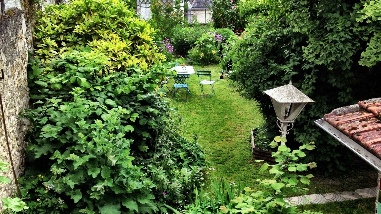 Photo of Outdoor in Loches