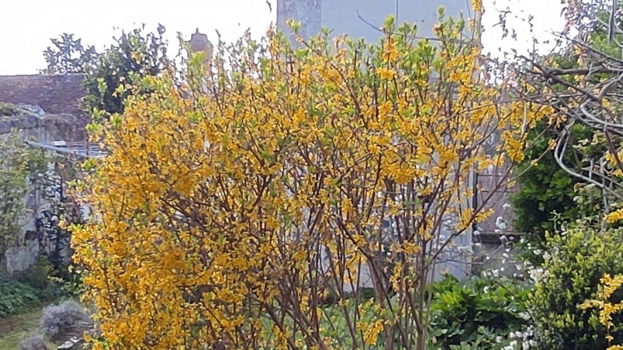 Photo of Outdoor in Loches