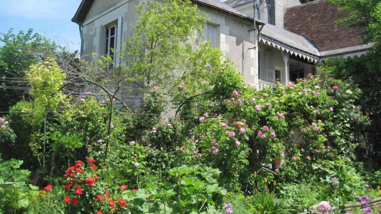 Photo of Outdoor in Loches