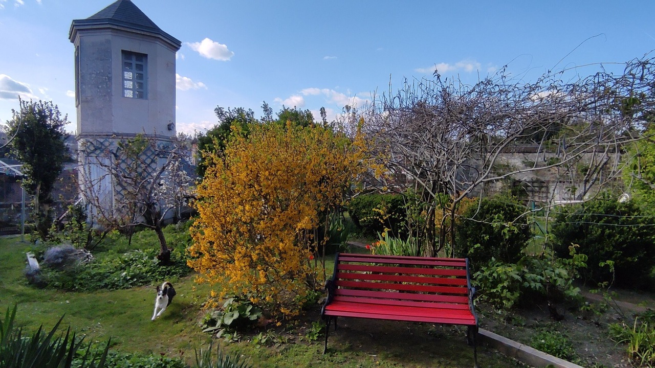 Photo of Outdoor in Loches