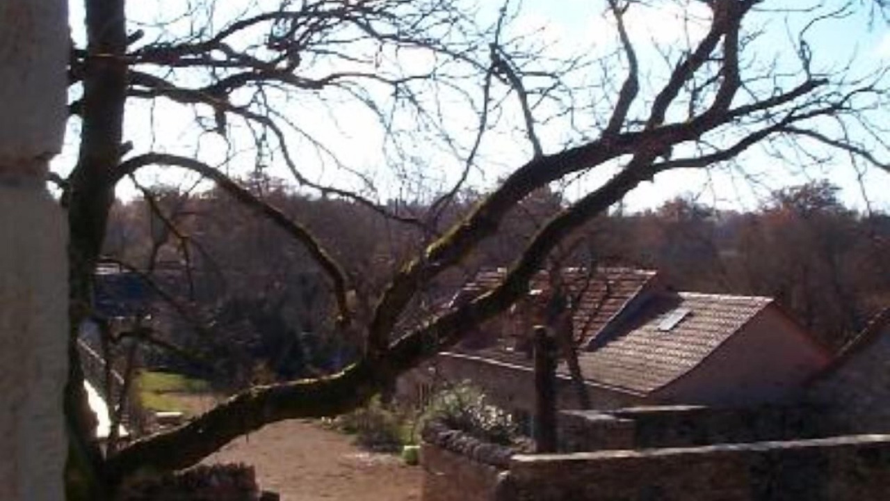 Photo of Outdoor in Martiel