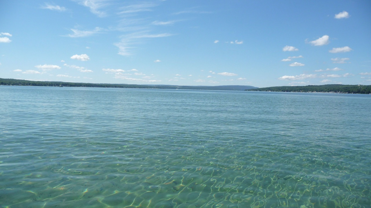 Photo of Others in Canandaigua