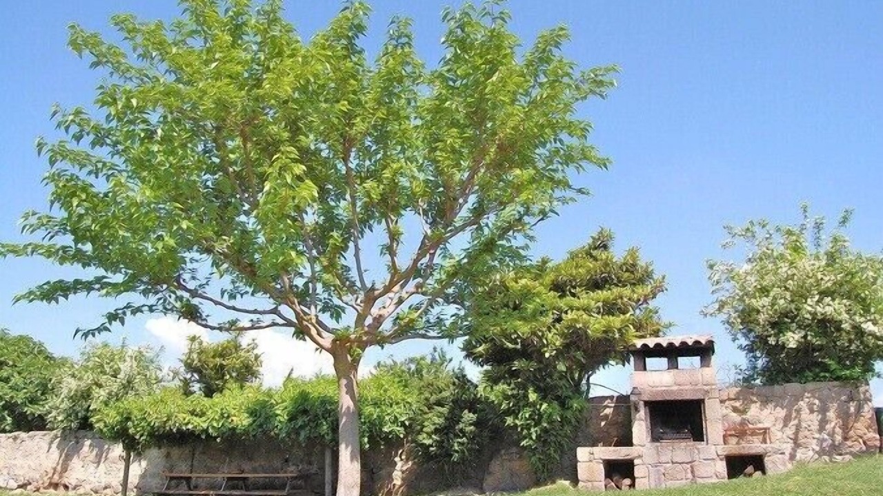 Photo of Outdoor in Gironella