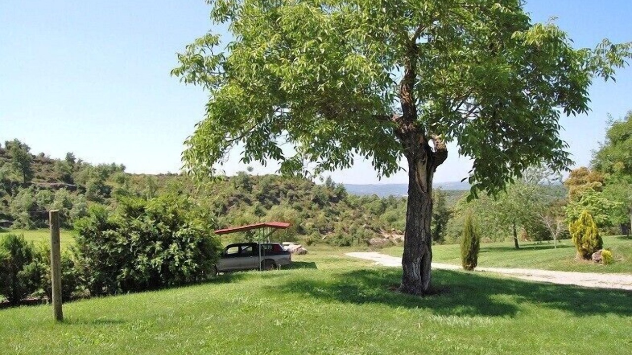 Photo of Outdoor in Gironella