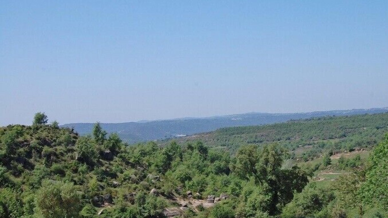 Photo of Others in Gironella