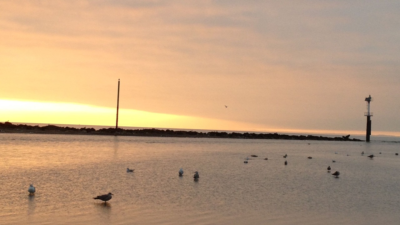 Photo of Others in Trouville-sur-Mer