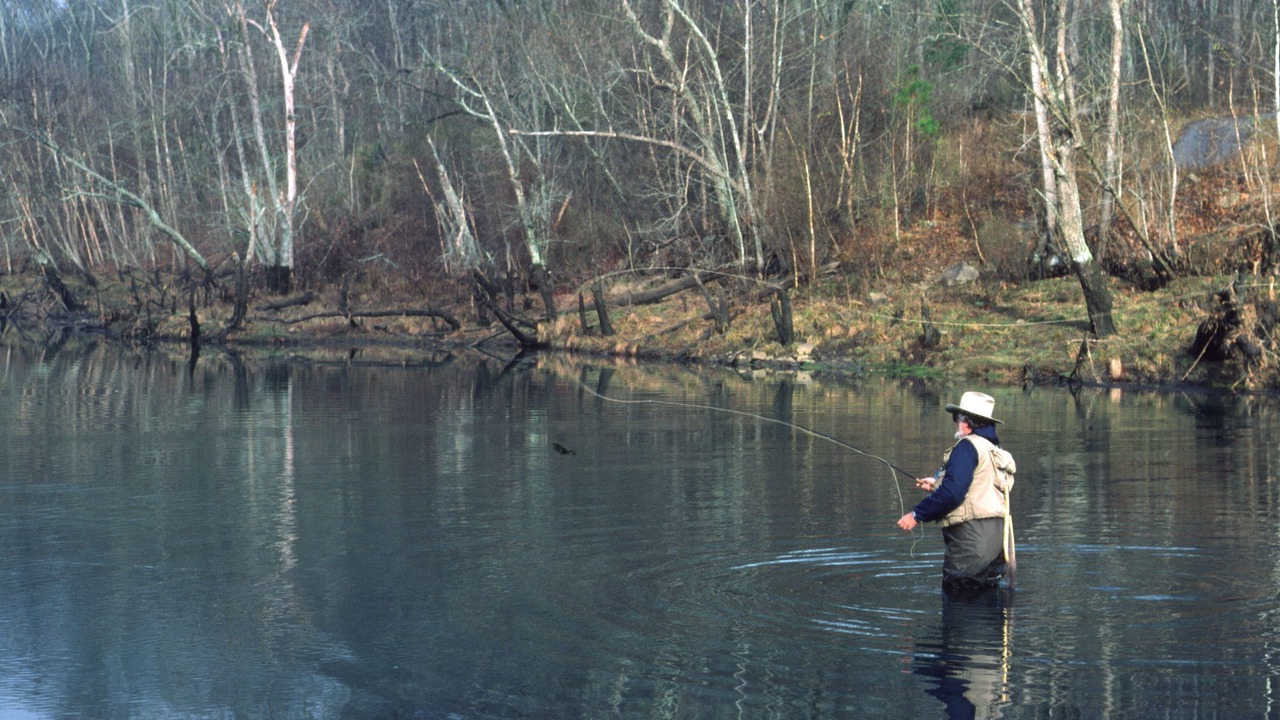 Photo of Outdoor in Heber Springs