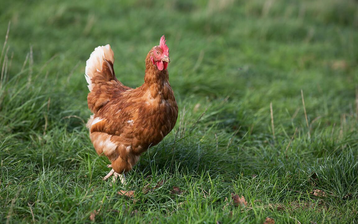 Photo of Outdoor in La Garde