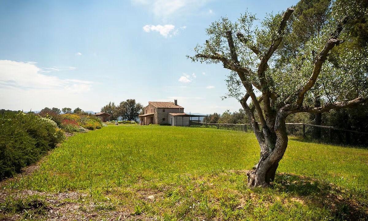 Photo of Outdoor in Vilademuls