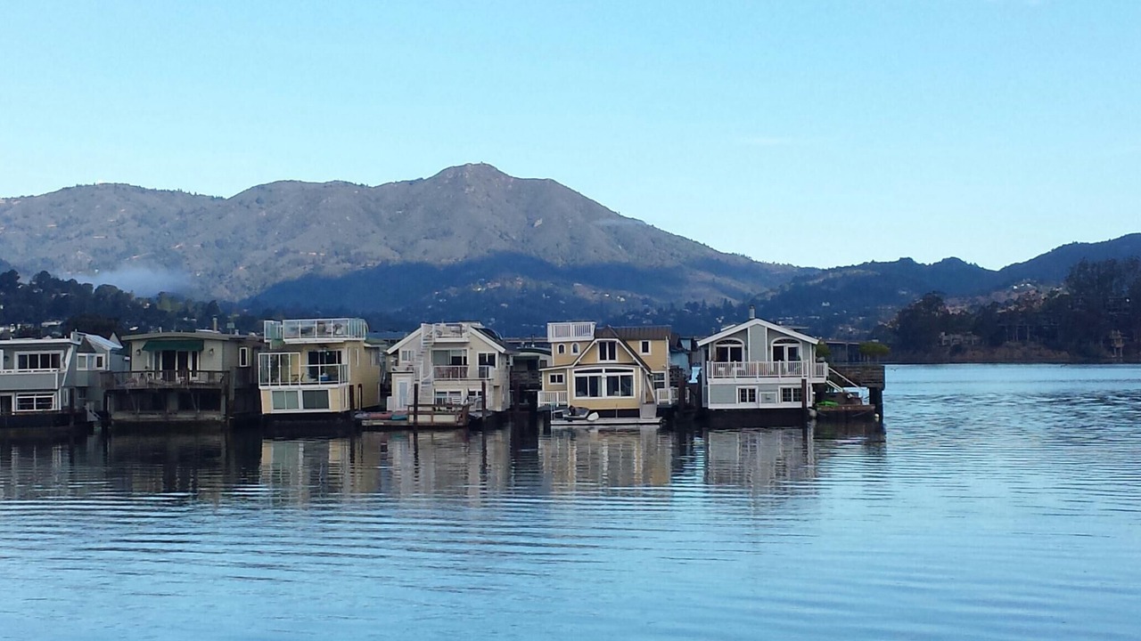 Photo of Others in Marin City