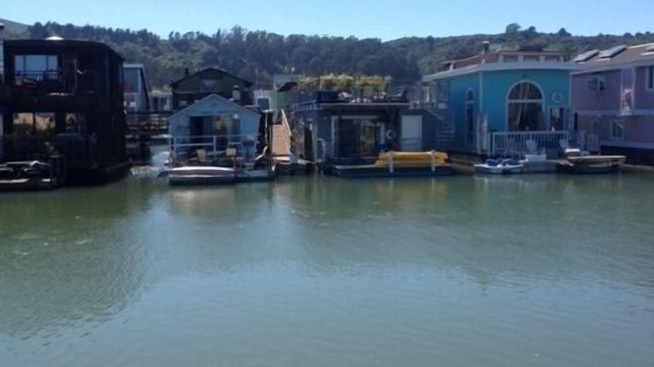 Photo of Others in Marin City