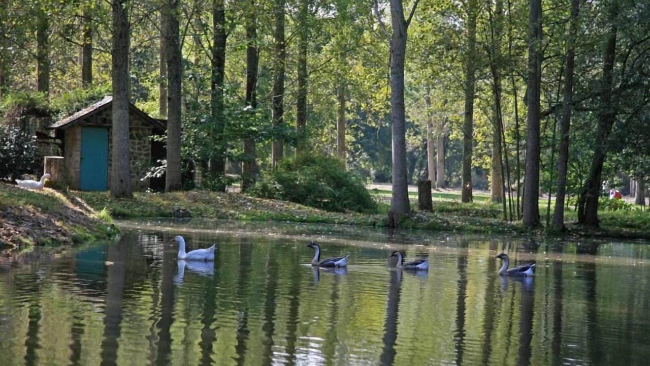 Photo of Outdoor in Riaille