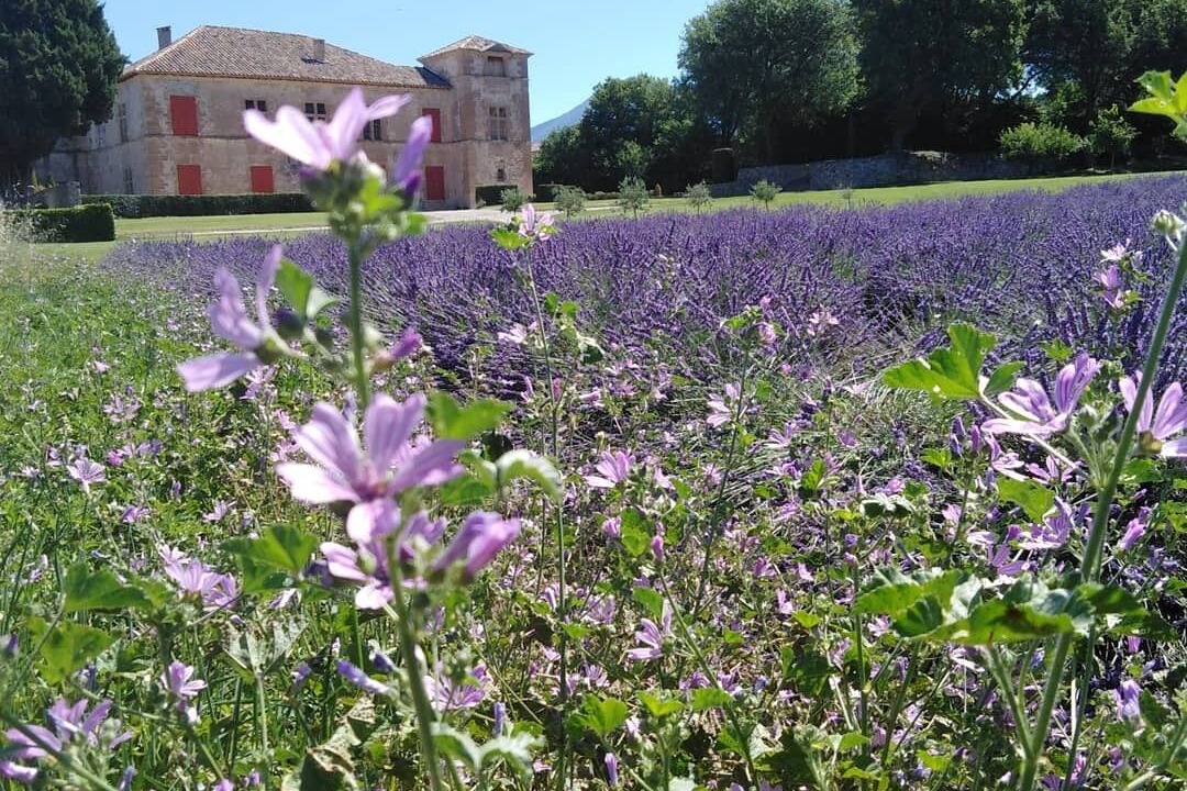 Photo of Outdoor in Le Chaffaut-Saint-Jurson
