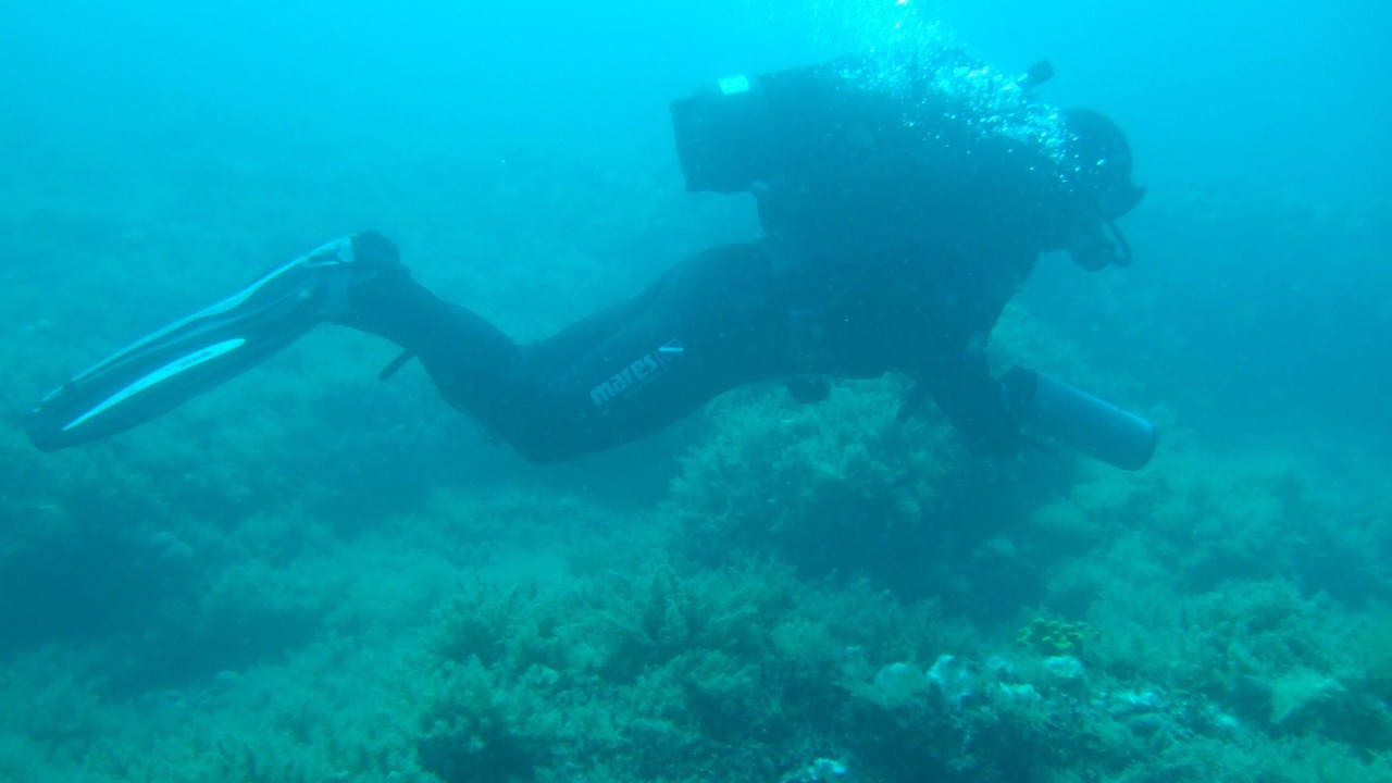 Photo of Others in Medulin