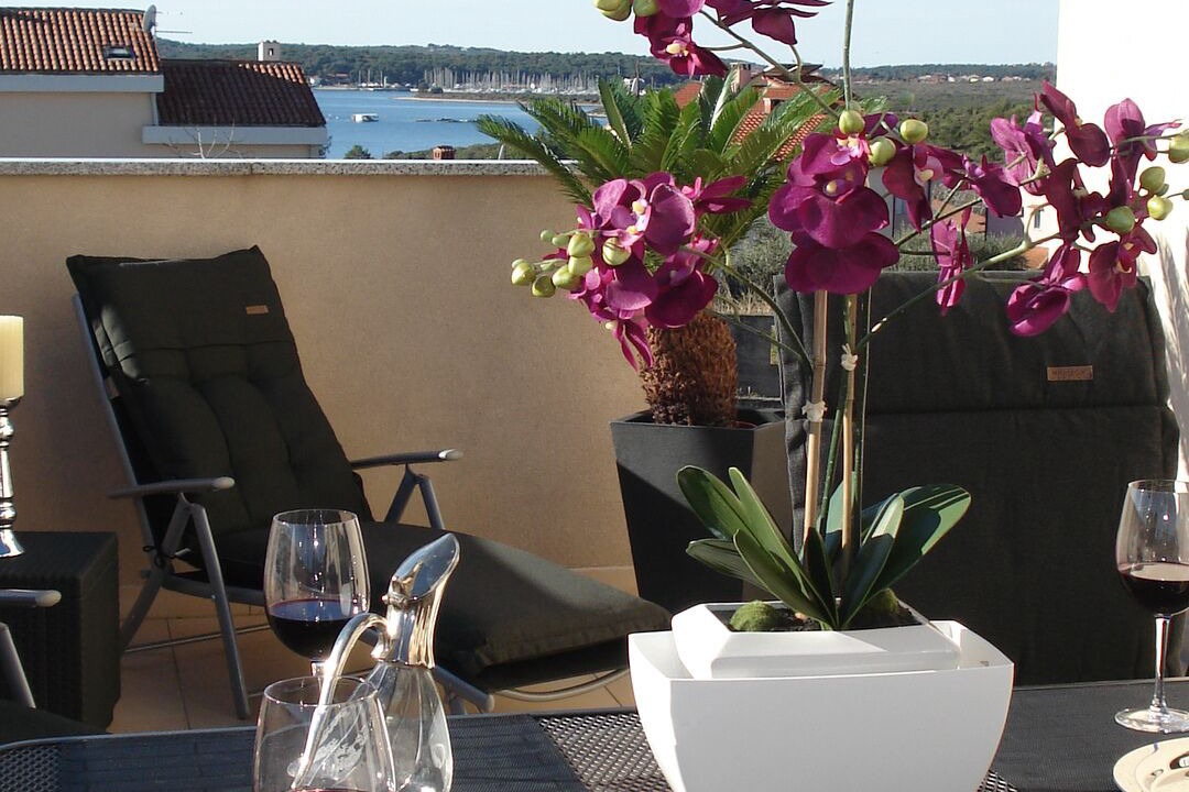 Photo of Outdoor in Medulin