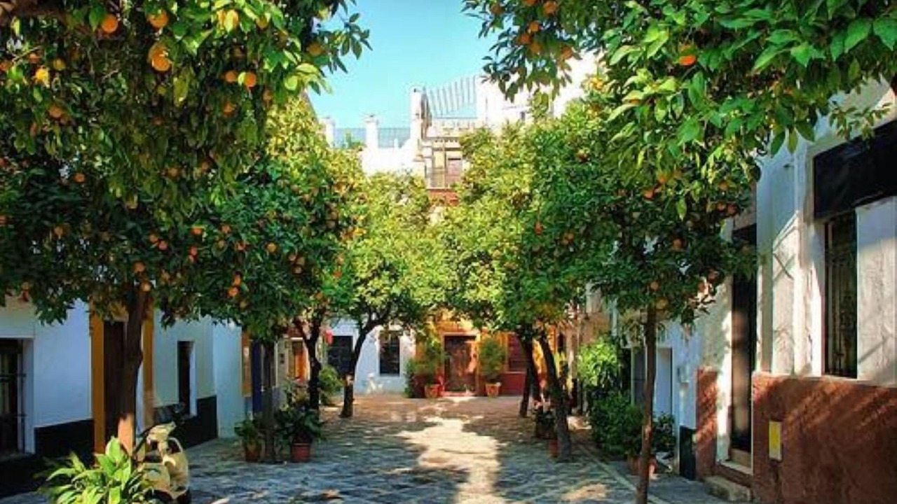 Photo of Outdoor in Guillena