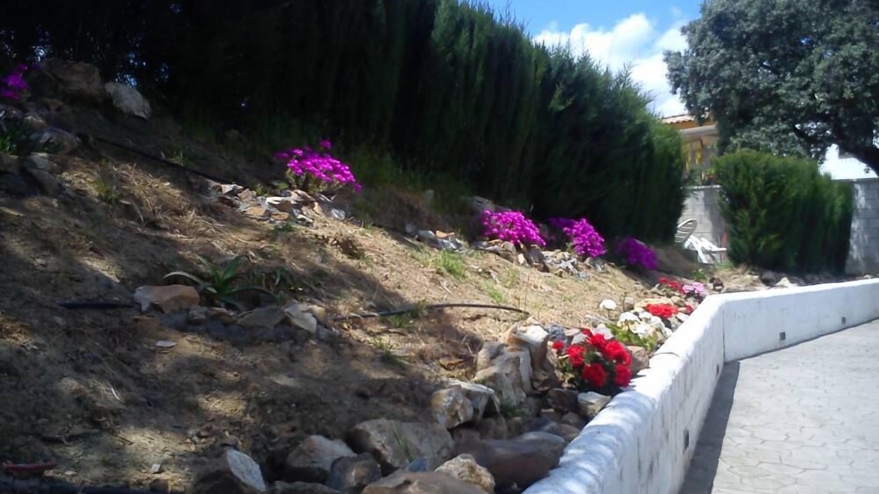 Photo of Outdoor in Guillena