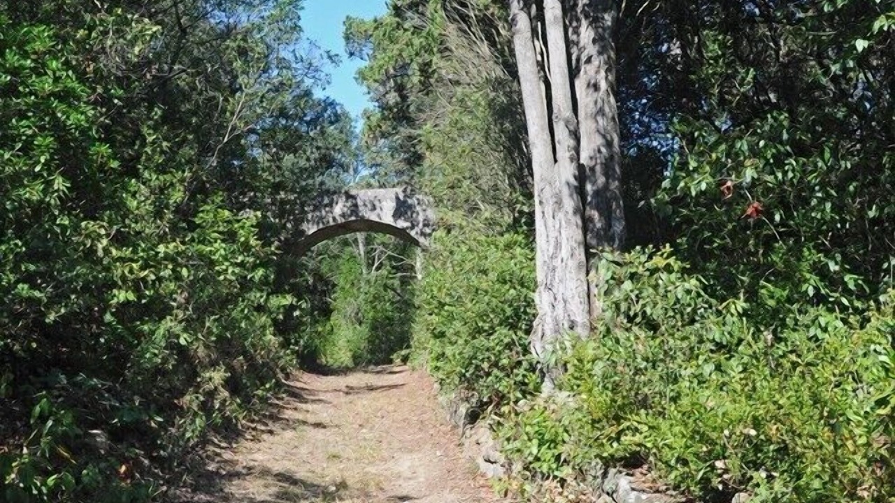 Photo of Outdoor in Palaja