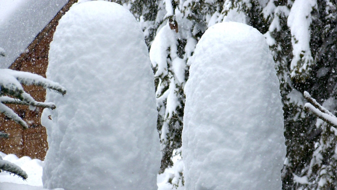 Photo of Others in Ovronnaz