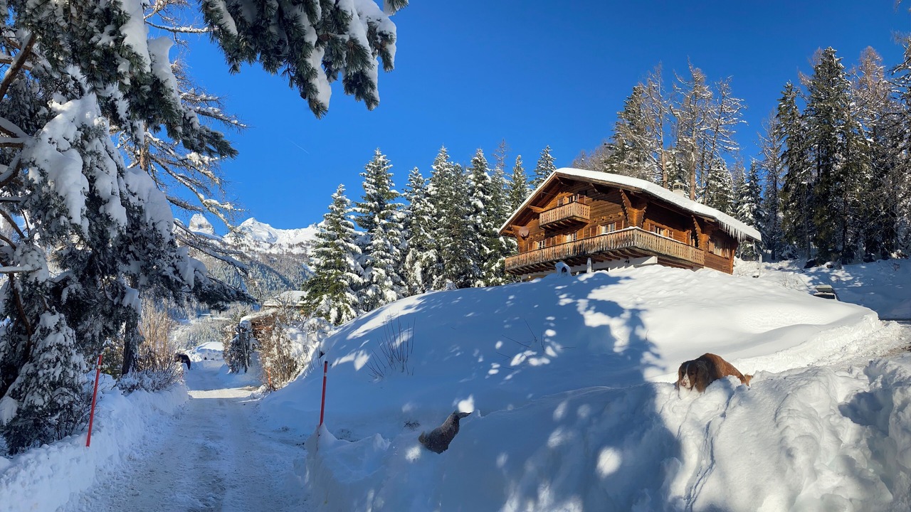 Photo of Outdoor in Ovronnaz