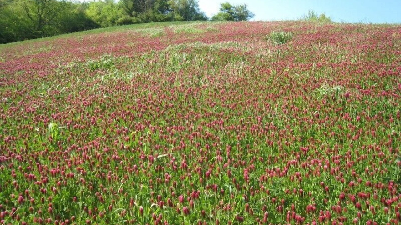 Photo of Outdoor in Latour