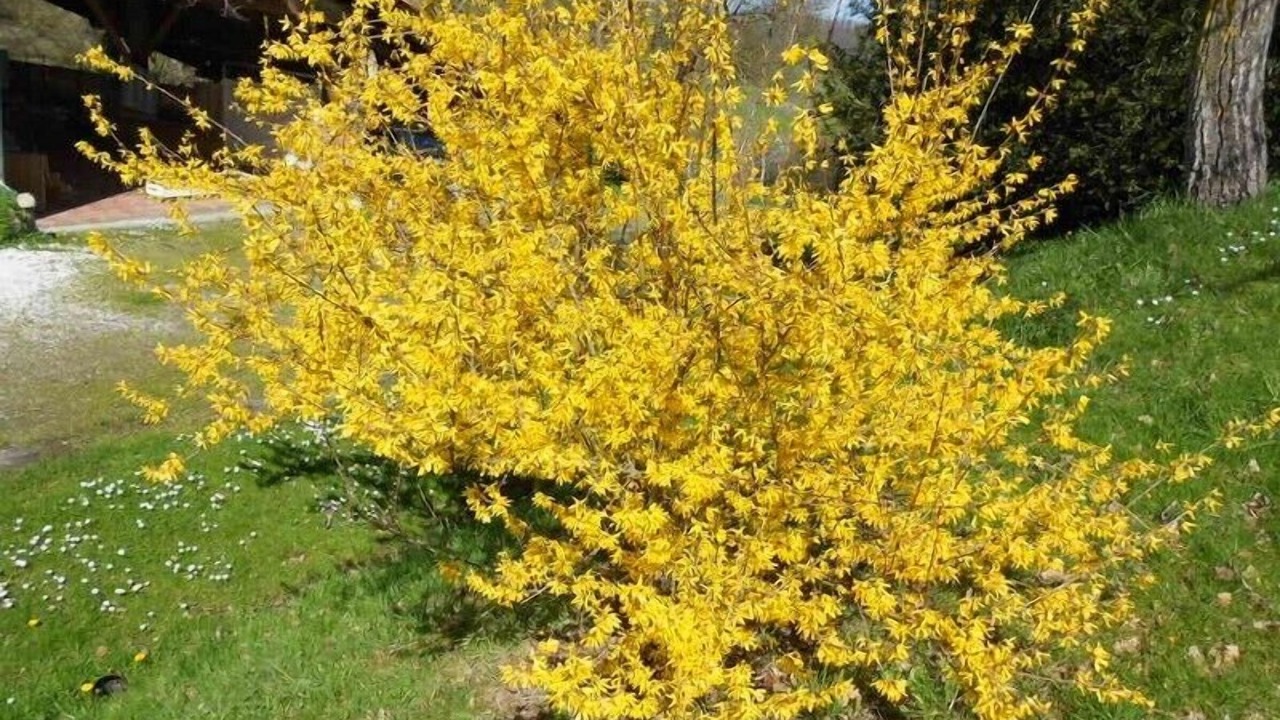 Photo of Outdoor in Latour