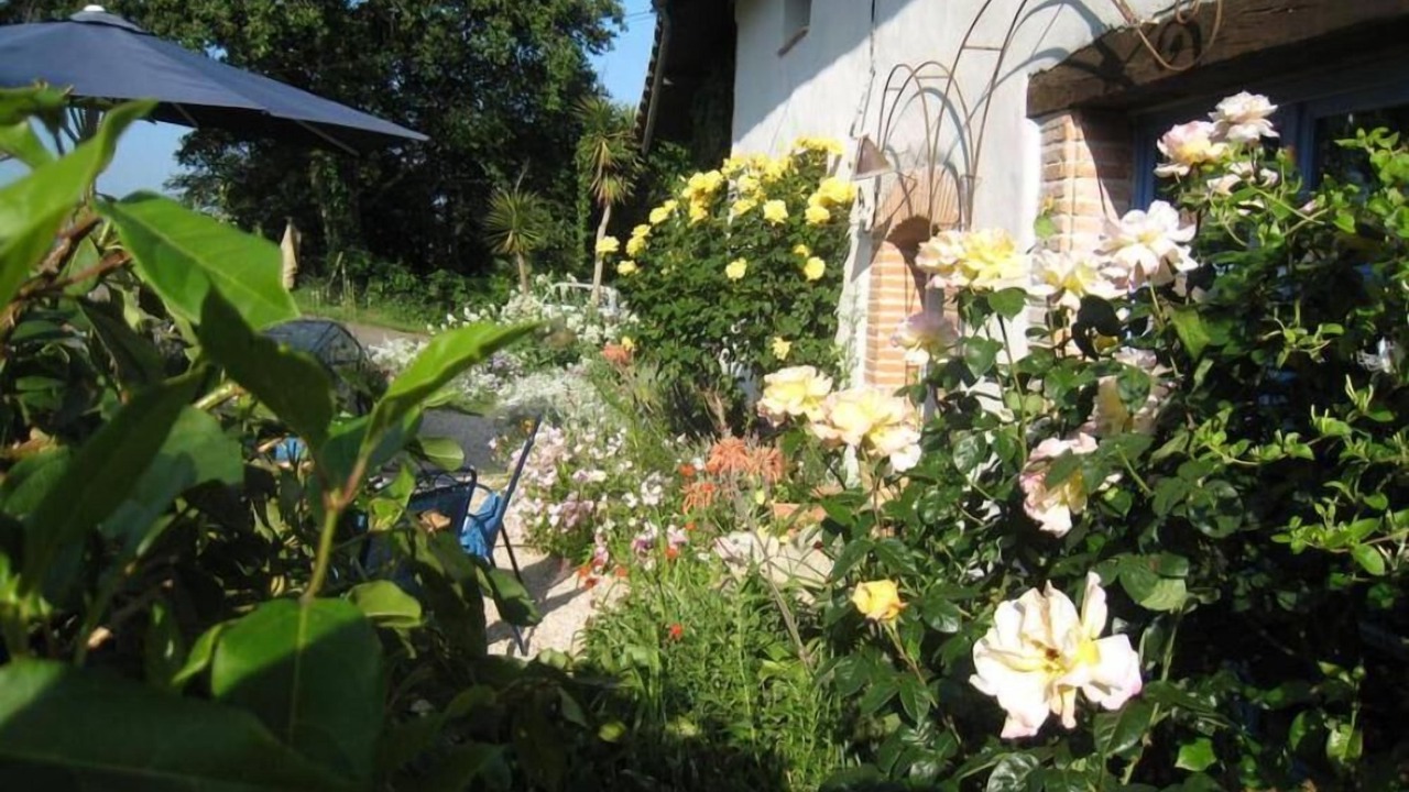 Photo of Outdoor in Latour
