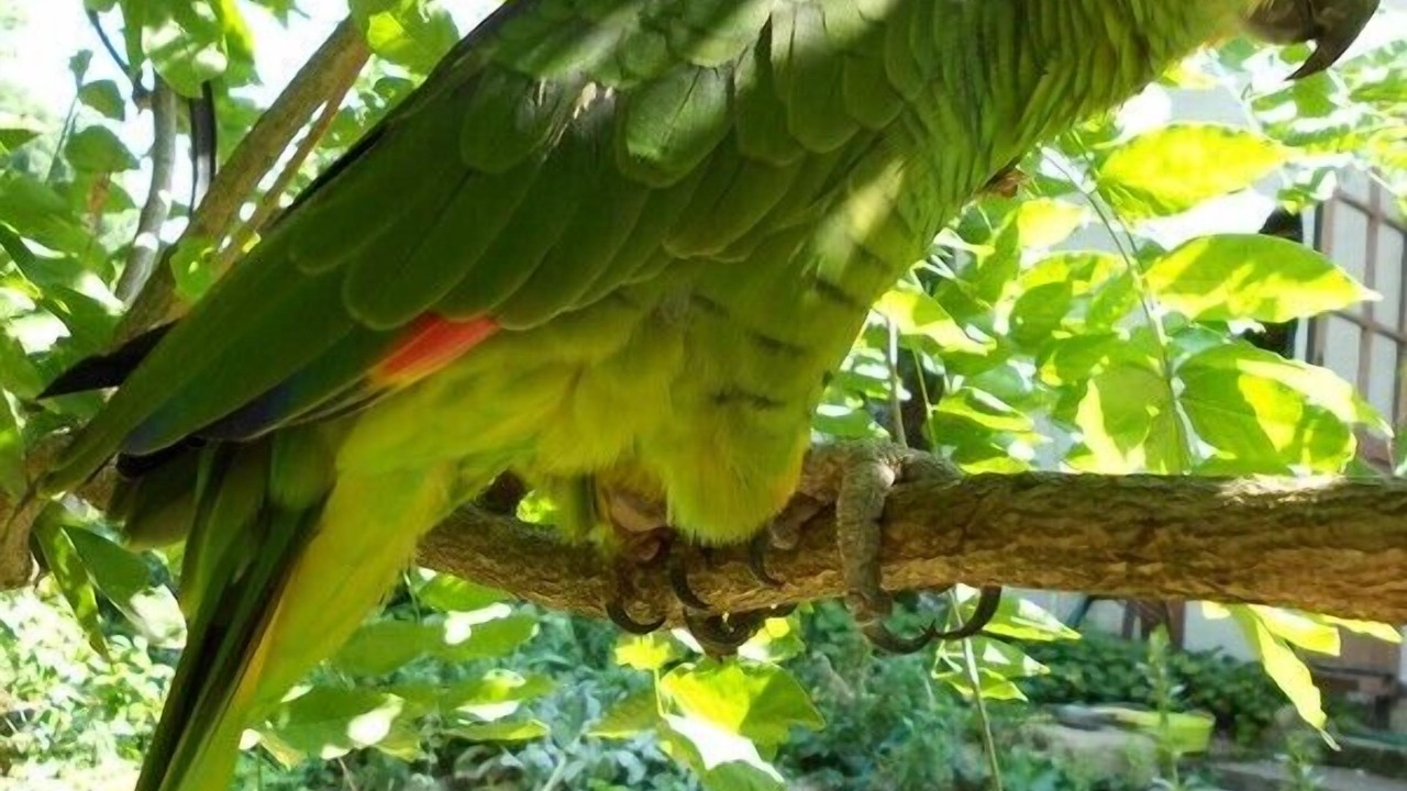 Photo of Outdoor in Latour
