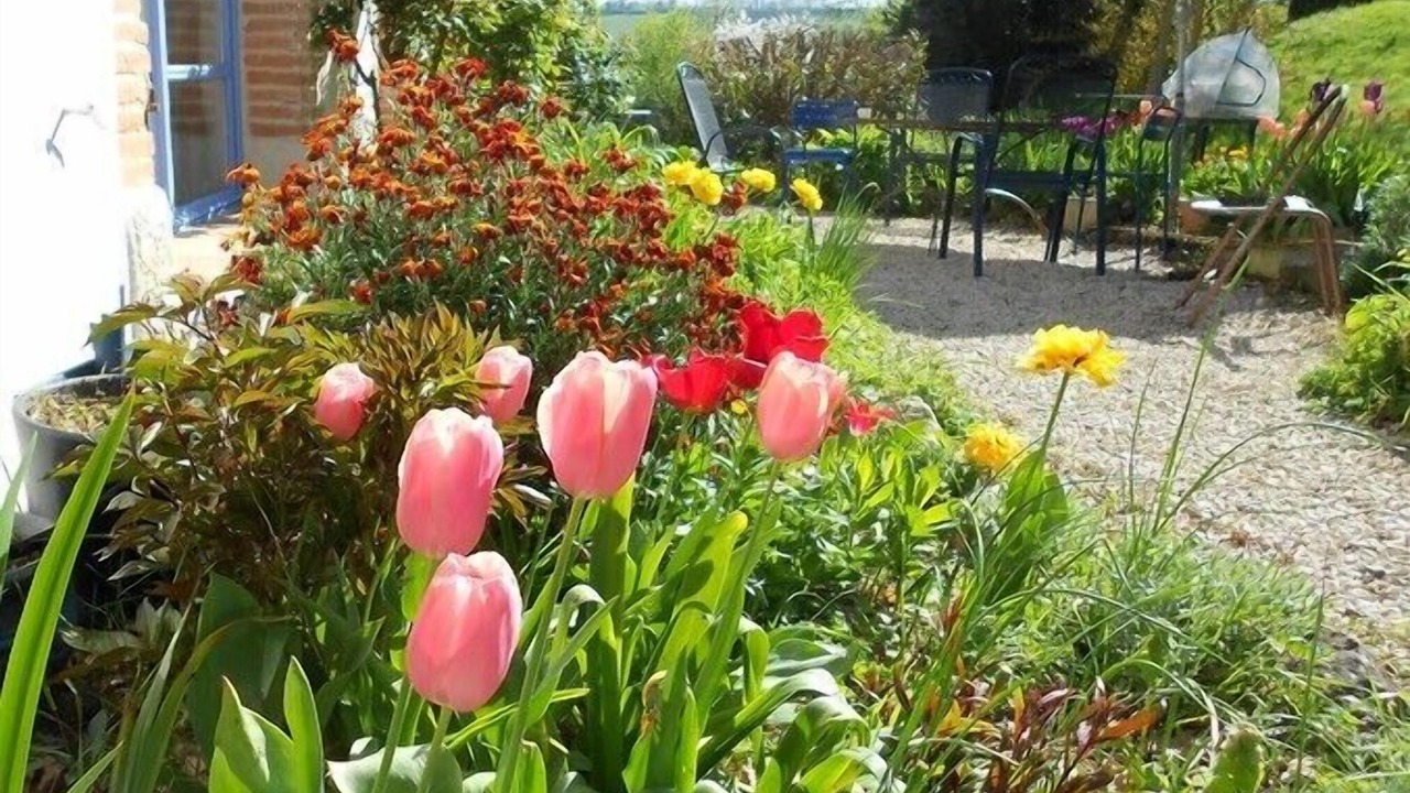 Photo of Outdoor in Latour