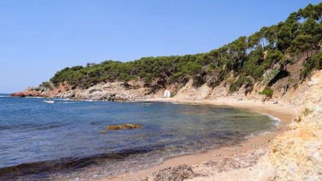 Photo of Others in Vall-Llobrega