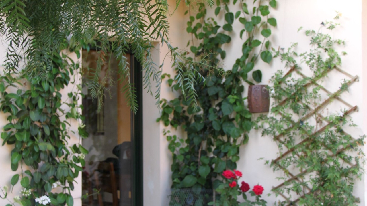 Photo of Outdoor in Vall-Llobrega