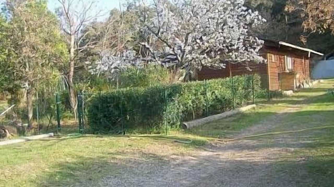 Photo of Outdoor in Argeles-sur-Mer