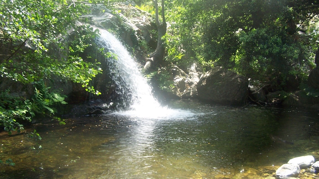 Photo of Outdoor in Argeles-sur-Mer