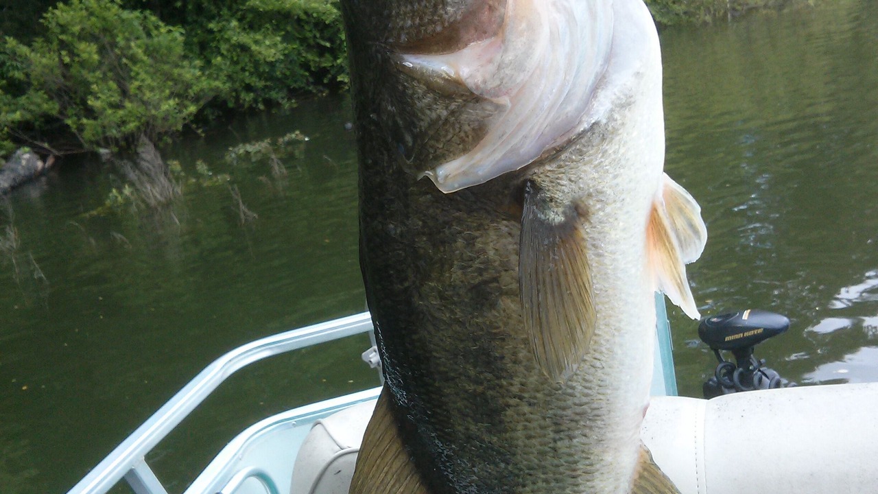 Photo of Others in Gainesville