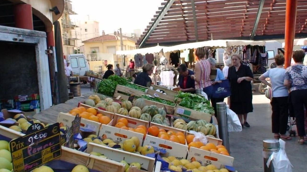 Photo of Others in Ille-sur-Tet