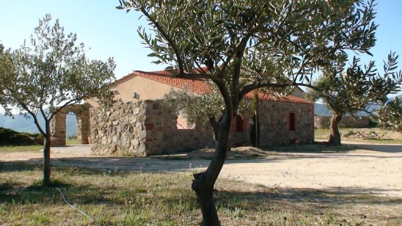 Photo of Others in Ille-sur-Tet