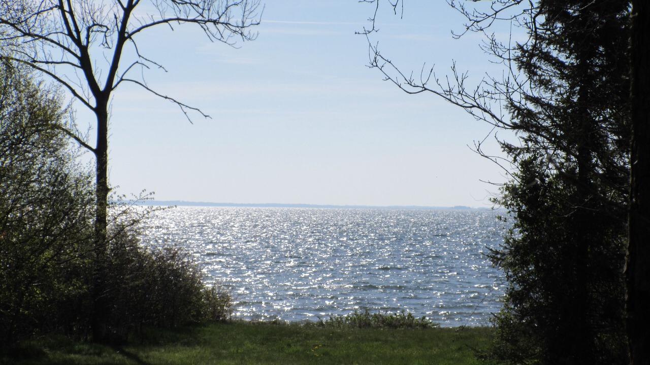 Photo of Others in Ejerslev